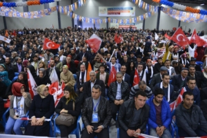 akreditasyon krizi