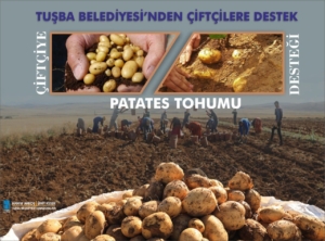 tohum desteği