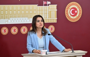 fülistan kılıç koçyiğit