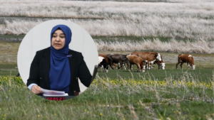 gülderen varlı