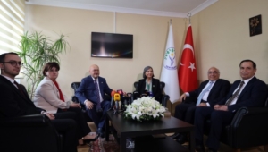 DEM - AKP