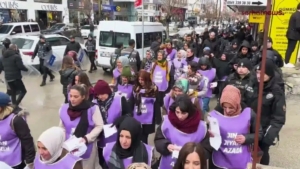 Van 8 Mart mitingi