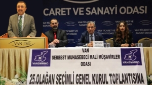 VANSMMMO KONGRE