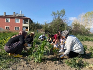 Edremit kent Bostanı