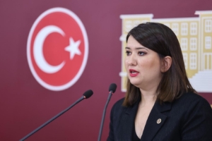 Gökçe Gökçen