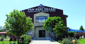 van-haber-kedi-evi