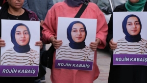 van-haber-rojin-kabaiş-mevlis-arastırmasi