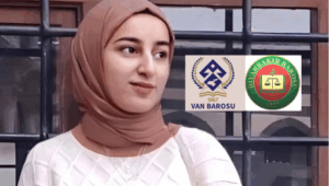 van-haber-rojinkabais-van-diyarbakir-barou