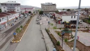 van-haber-saray