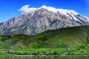 van-haber-van-kamp alanlari-artos-daglari