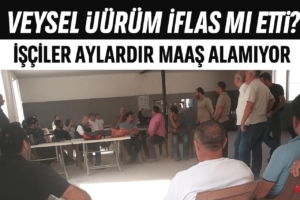 van-haber-veysel-urum