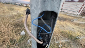 Bostaniçi-elektrikdirekleri (3)