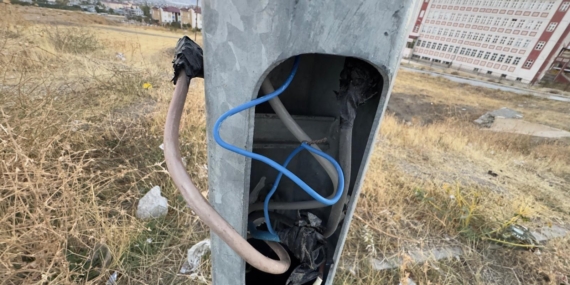 Bostaniçi-elektrikdirekleri (3)