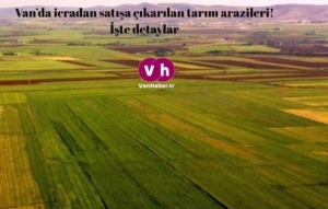 Van'da icradan satışa çıkarılan araziler