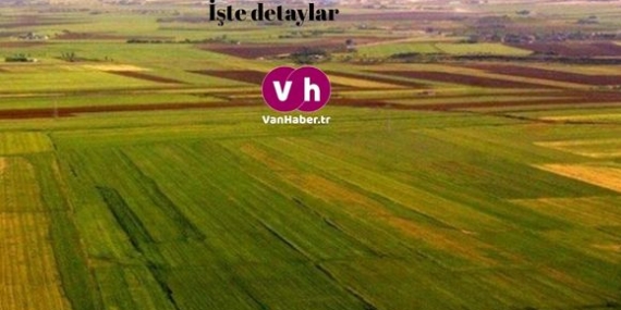 Van'da icradan satışa çıkarılan araziler