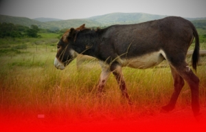 burada_calisma_2 - 1