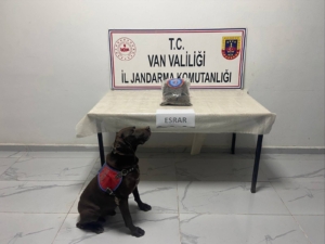 kaçak