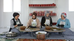 kadınkoop