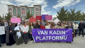 rojin kabaiş açıklaması