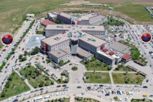 vanhastane