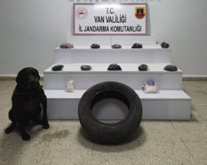 vanjandarma (1)